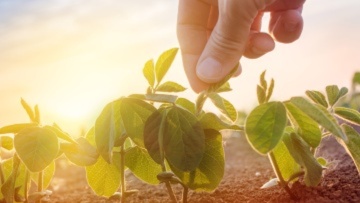 Каталог продуктов БАСФ 2025